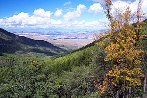 Pinal Mountains.jpg