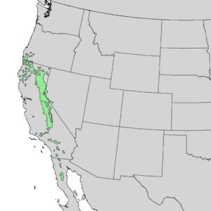 Pinus jeffreyi range map 1.png