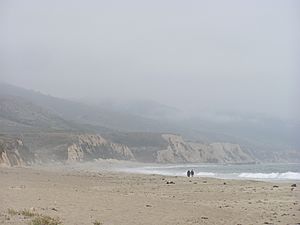 Point Reyes Fog