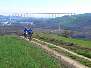 Ponte Salinello