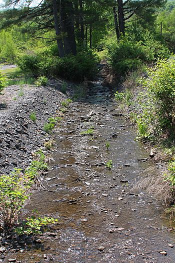 Reservoir Creek.jpg