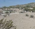 Sacaton-Japanese Relocation Camp Ruins-5