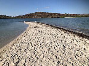 San Ignacio Lagoon