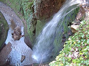 Shanklin Chine Waterfall