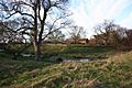 Somerton Castle-Geograph-1055605-by-Richard-Croft