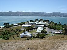 Somes Island DOC Buildings