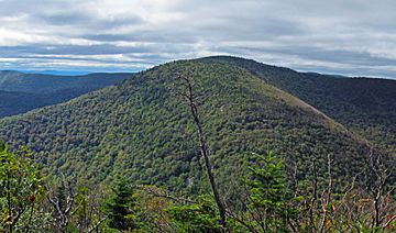 Sugarloaf Mountain from Twin.jpg