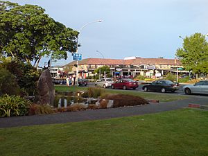 Taupo Mainstreet And Domain