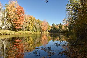 The Cedar River