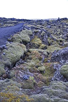 The blue Lagoon, Iceland (5454149170)