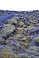 The blue Lagoon, Iceland (5454149170)