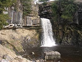 Thornton Force.jpg