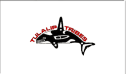 Tulalip nation flag.png