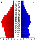 USA Morgan County, Tennessee.csv age pyramid