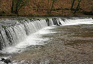 Weir on River Plym