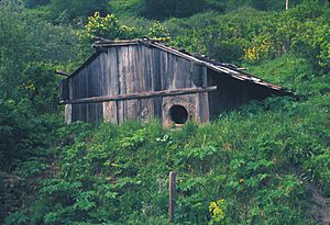 Yurok plankhouse03