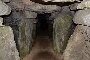 1010628-WestKennettLongbarrow (5)