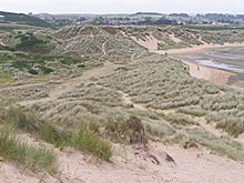 Aaythanestuarydunes