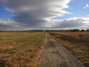 Arcola TX Duke Road