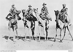 Australian, English, New Zealand and Indian cameliers