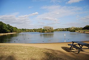 Barden Lake, Haysden Country Park - geograph.org.uk - 1530226.jpg