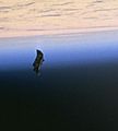 Black Knight Satellite (cropped)