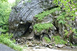 Bwa Maen, Dinas Rock, Pontneddfechen