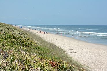 Canaveral National Seashore 2015