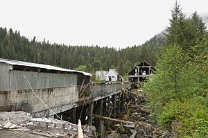 Cannery Ruins, Butedale, BC.