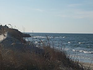 Cape Cod Bay 2009