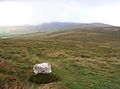 Carn Siân, Preseli Mountains - geograph.org.uk - 259497.jpg