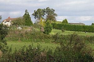 Castle Tump, Dymock - geograph.org.uk - 69540