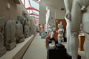 Museum of Classical Archaeology