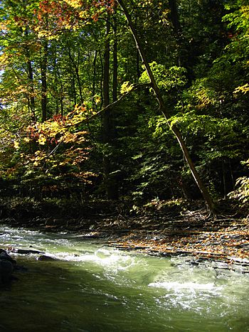 Chautauqua Creek.JPG