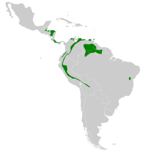 Colibri delphinae map.svg