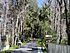 Crossing the Withlacoochie River in Dunnellon - panoramio.jpg