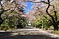 Entrance to ICU in spring