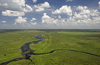 Fisheating Creek from above 1.jpg