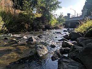 Gateway Park, San Mateo (44157372251).jpg