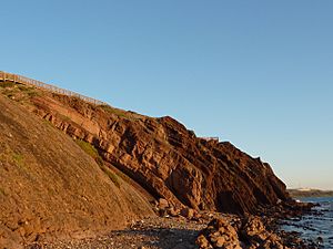 Hallett Cove Conservation Park P1000927