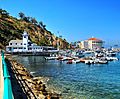 Historic Catalina Island Yacht Club and Casino from Avalon Harbor