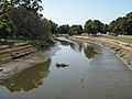 Iron Cove Creek at Timbrell Park, Five Dock