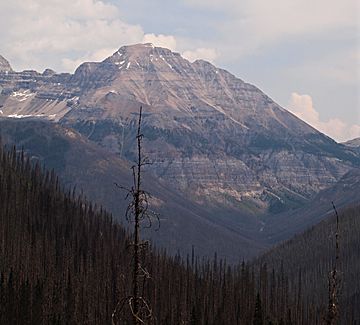 Isabelle Peak in Kootenay Park.jpg