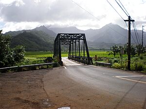 Kauai-BeltRoad-Hanalei-bridge