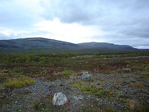 Kilpisjärvi maisemaa