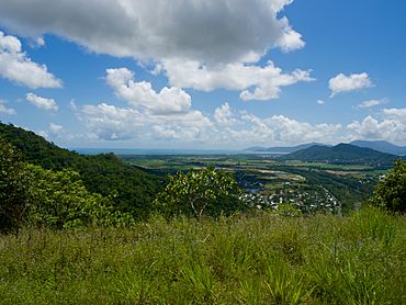 Kuranda National Park.jpg