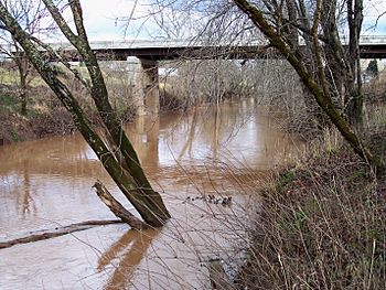 Leading Creek Gilmer County WV.jpg