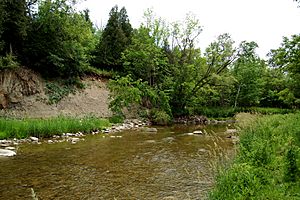 Little Rouge River Banks