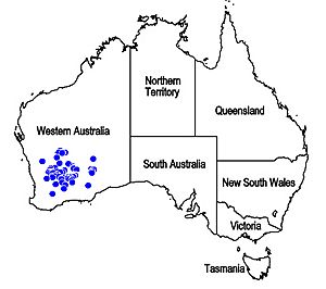 Map.Hemiphora elderi.jpg