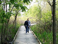 MaumeeBaySP NatureCtr (boardwalk)